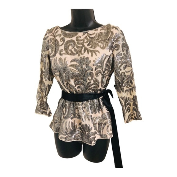 Adrianna Papell light‎ pink silver Sequin black Chiffon Sash Top blouse size 4 - Picture 1 of 14